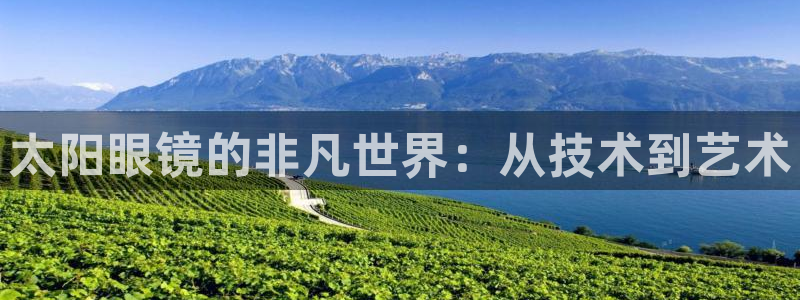 新宝5娱乐网址