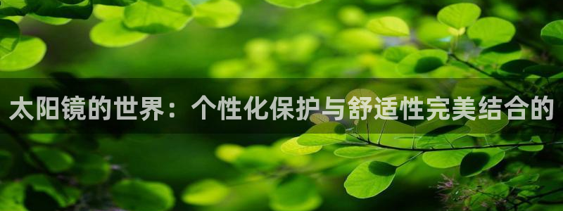 新宝5网址