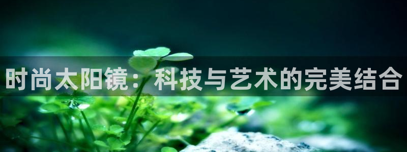 新宝5招商部