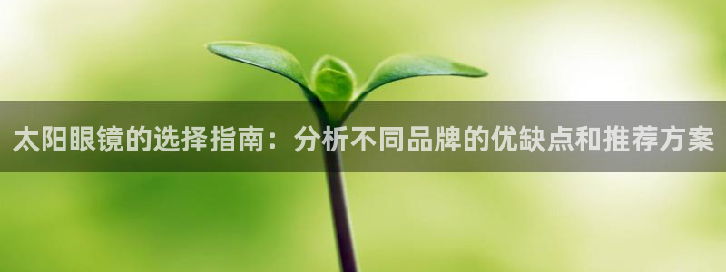 新宝股东瞧听2 5 5