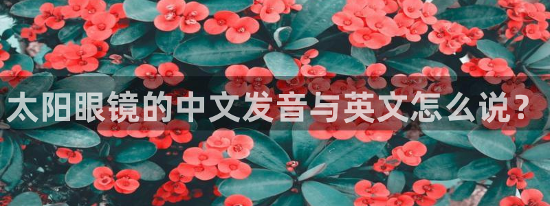 皇冠新宝5
