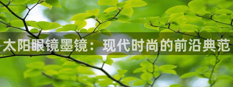 新宝5娱乐没