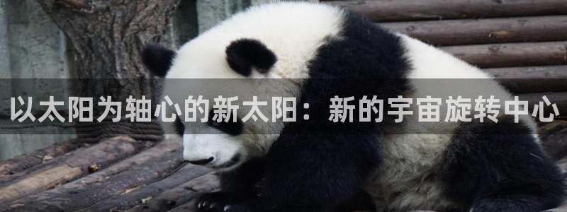 新宝5怎么下载到桌面