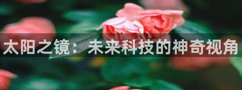 新宝b2O5O5O