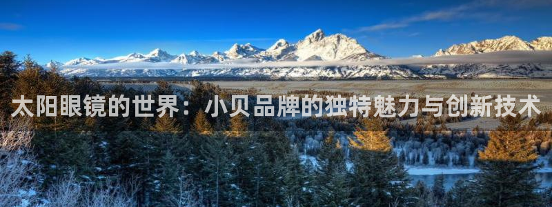 新宝股东瞧听2 5 5