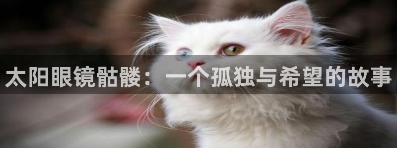 新宝5app手机下载