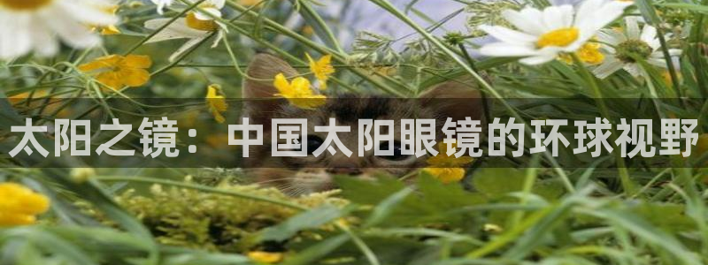 新宝5 - 测速登陆