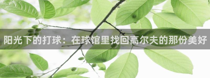 新宝5测试