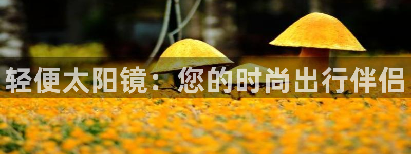 新宝5手机平台登陆