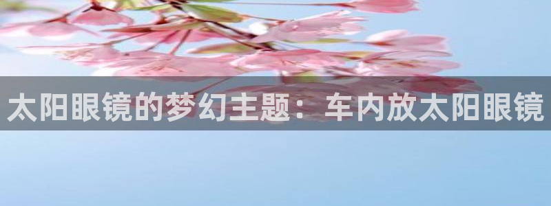 新宝5官网app