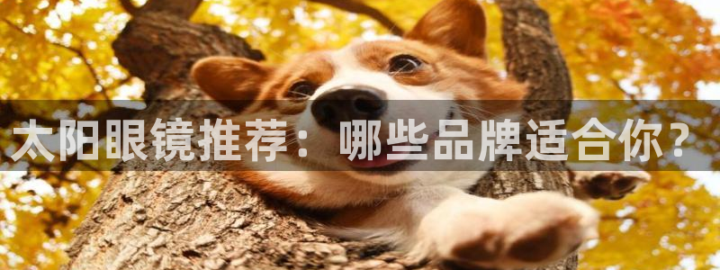 新宝股东王听2 5 5