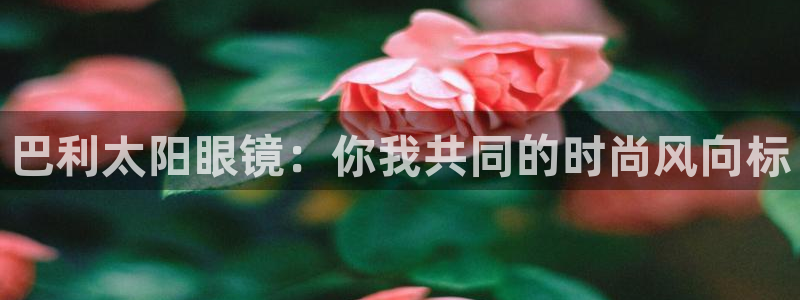 新宝b2O5O5O