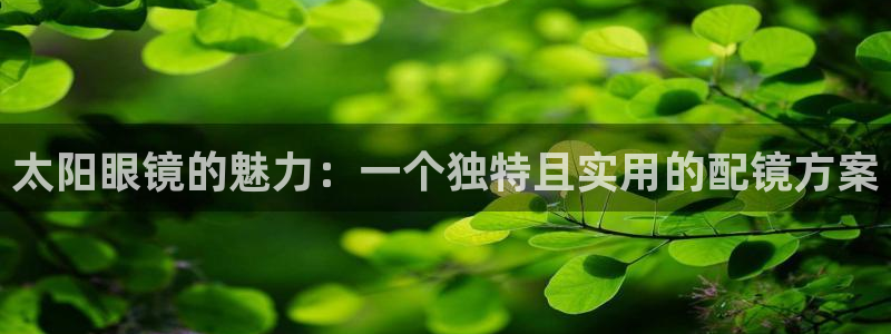 新宝5娱乐注