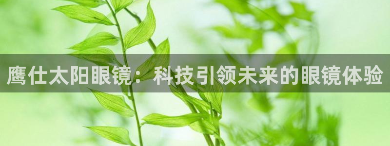 新宝5招商部