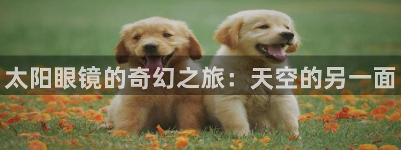 新宝5苹果手机下载