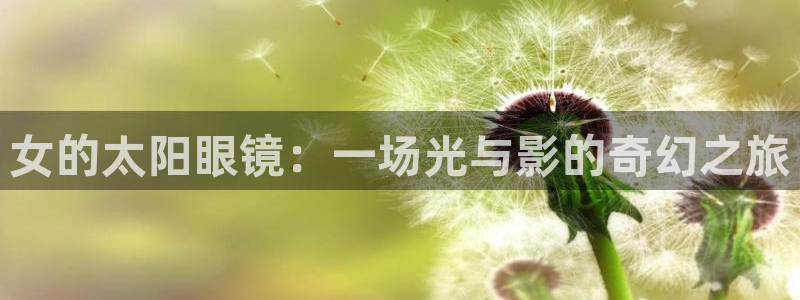 新宝5手机app