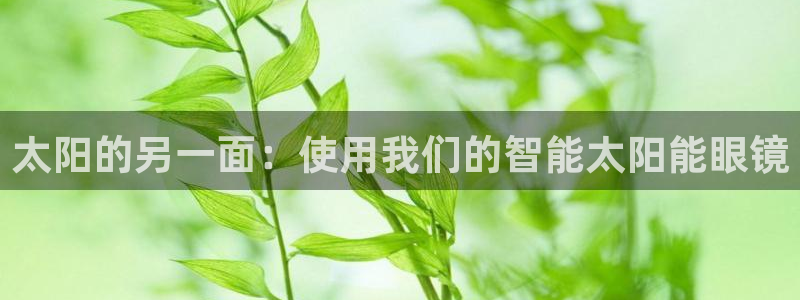 新宝5寻33 300球