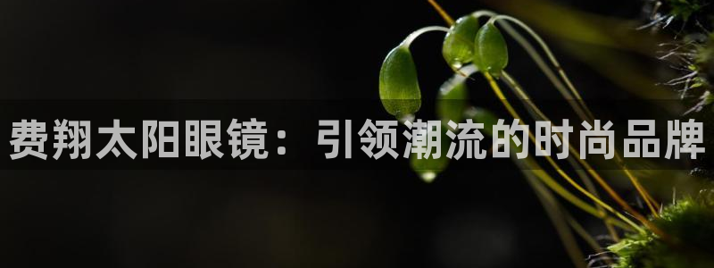 新宝股东张听2 5 5