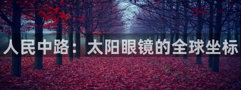 新宝5官网67五壹叁八